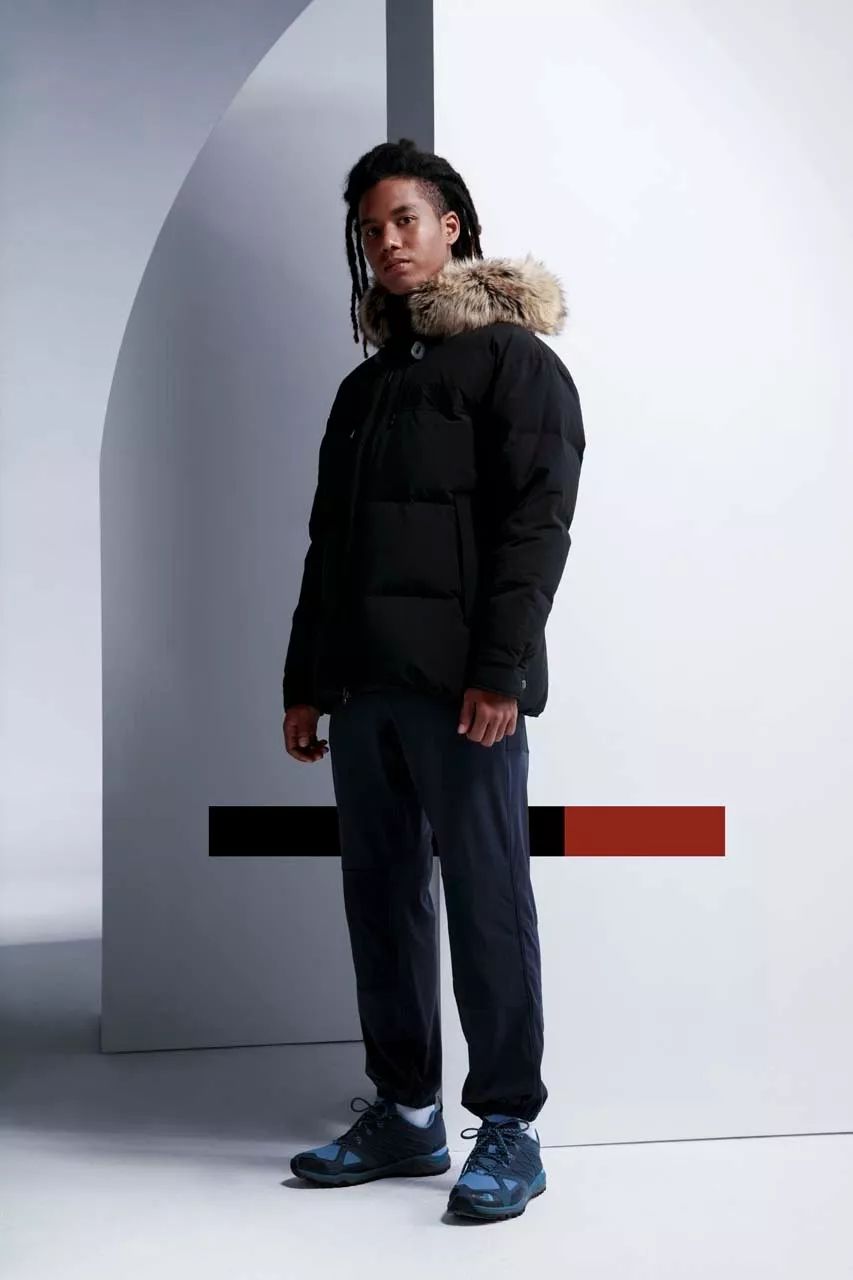 thenorthface20周年款,thenorthface19fw日版
