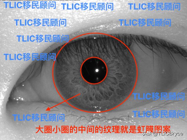 缅甸第四特区能办缅甸护照吗,缅甸北部人如何能拿到缅甸护照