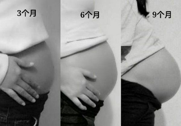 胎儿6个月到9个月经历了什么,三个月胎儿和四个月胎儿区别