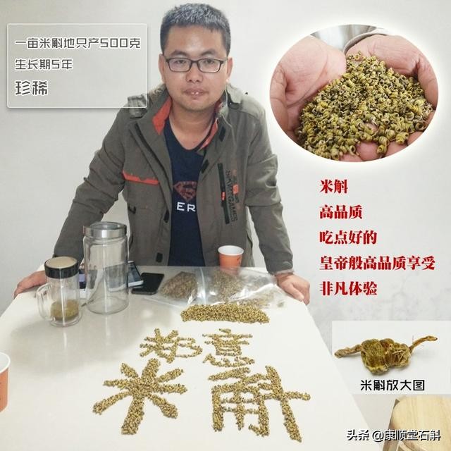 怎么选铁皮枫斗,铁皮枫斗怎样培养