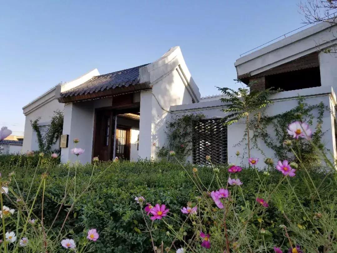 冬天手脚冷适合喝什么茶,冬天手脚冰凉适合什么茶