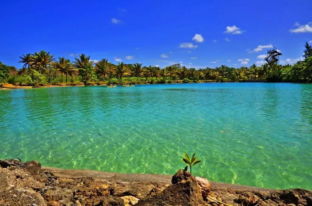 如何申请黄金护照省钱,圣基茨护照瓦努阿图护照