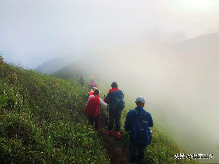 初夏游江西：历经晴、雨、雾，穿越武功山