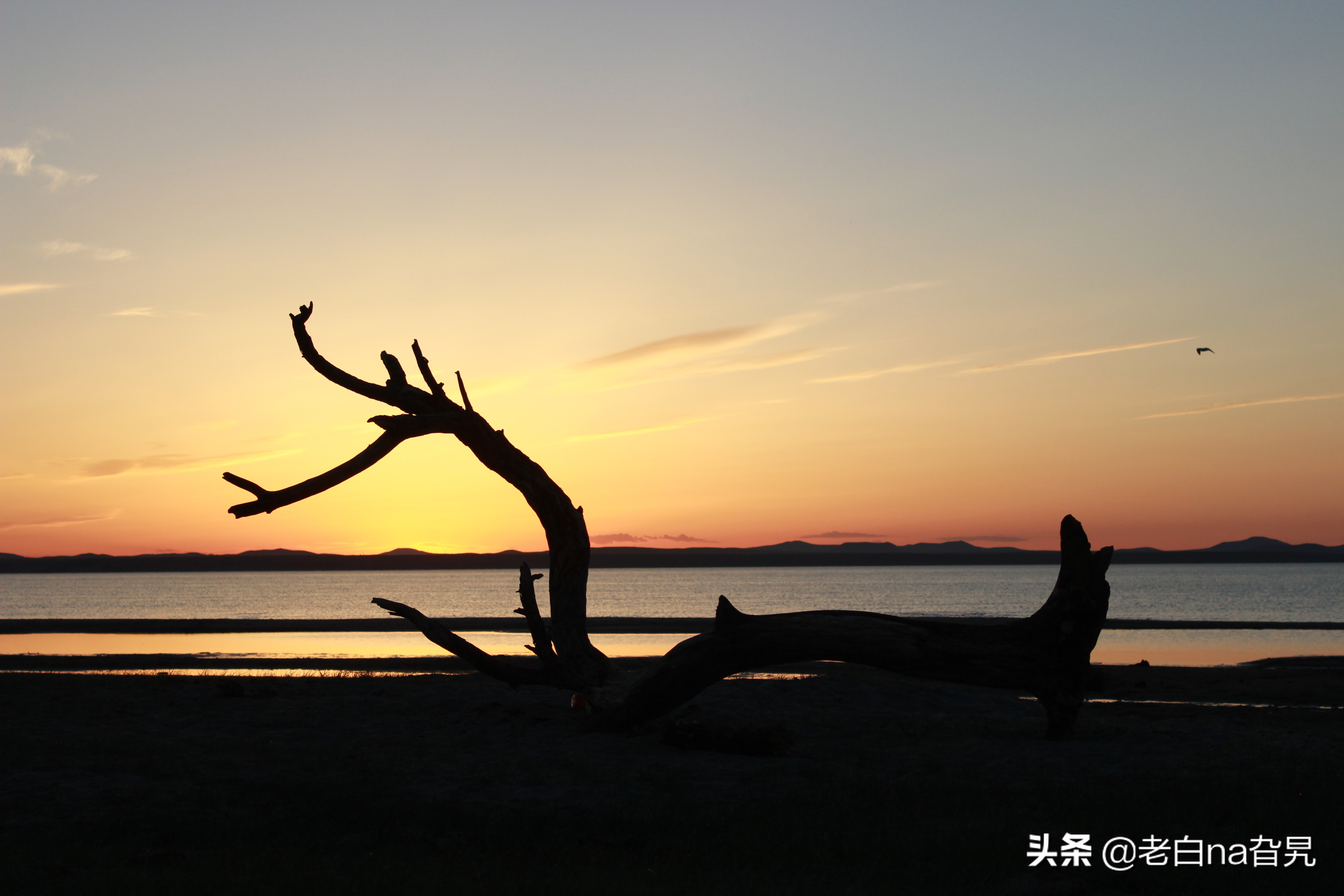 达里诺尔湖早上的风景,达里诺尔湖四大名湖