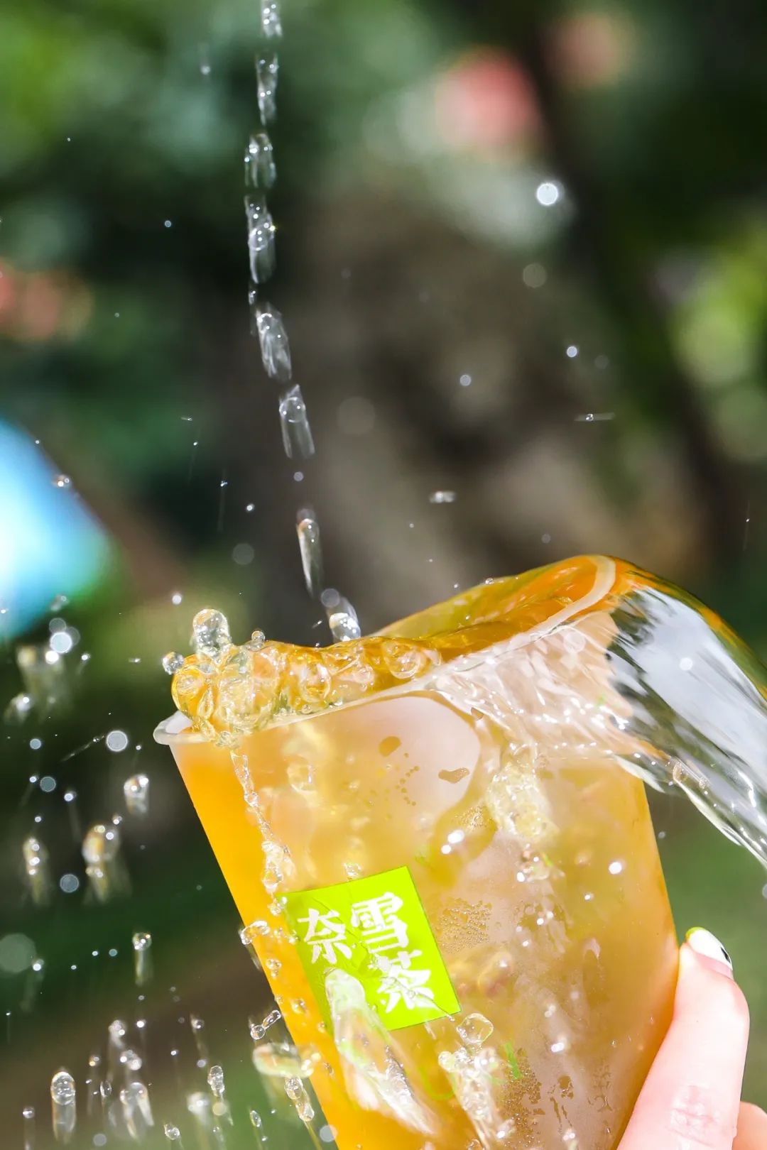 奈雪「霸气小确杏」回归！还有杏运上上签，今日开“撕”