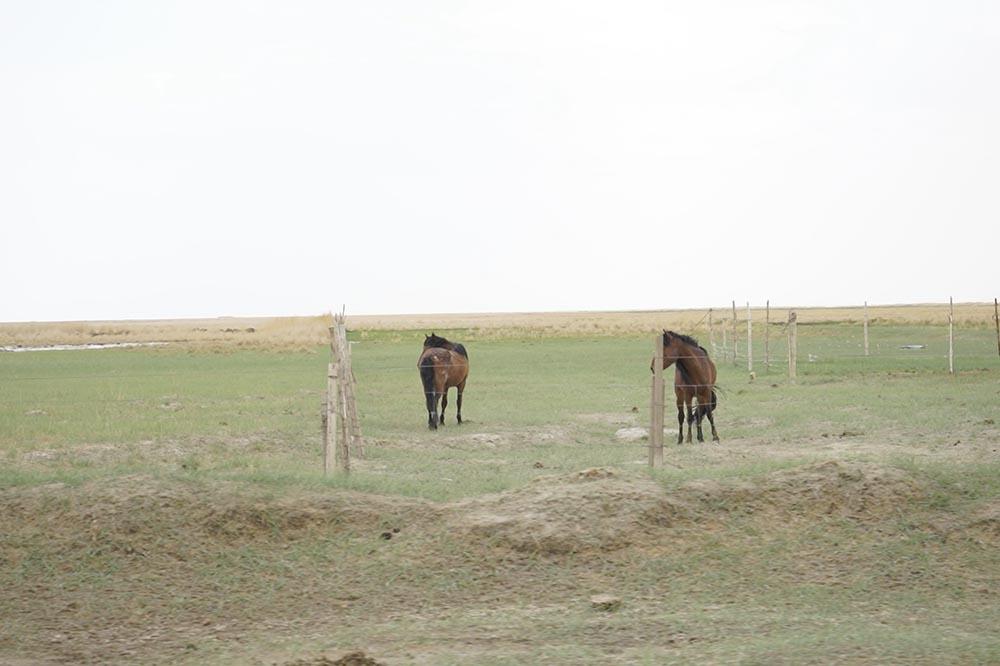 全新标致4008环青海长测Day5:感受恶魔之眼,茫崖翡翠湖爆赞!