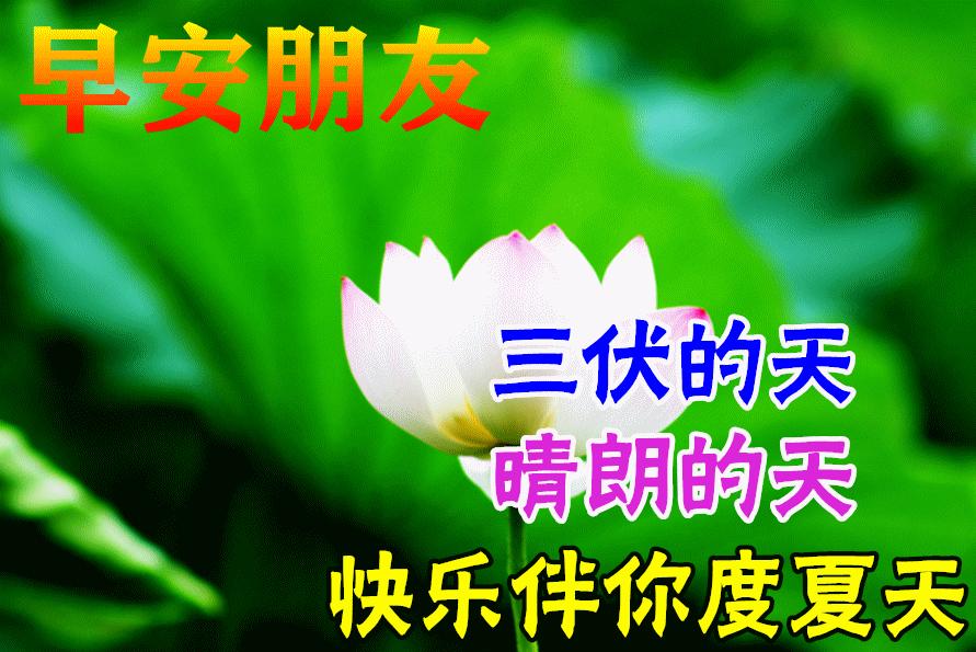 周一早安问候语表情,周一早上好问候语表情