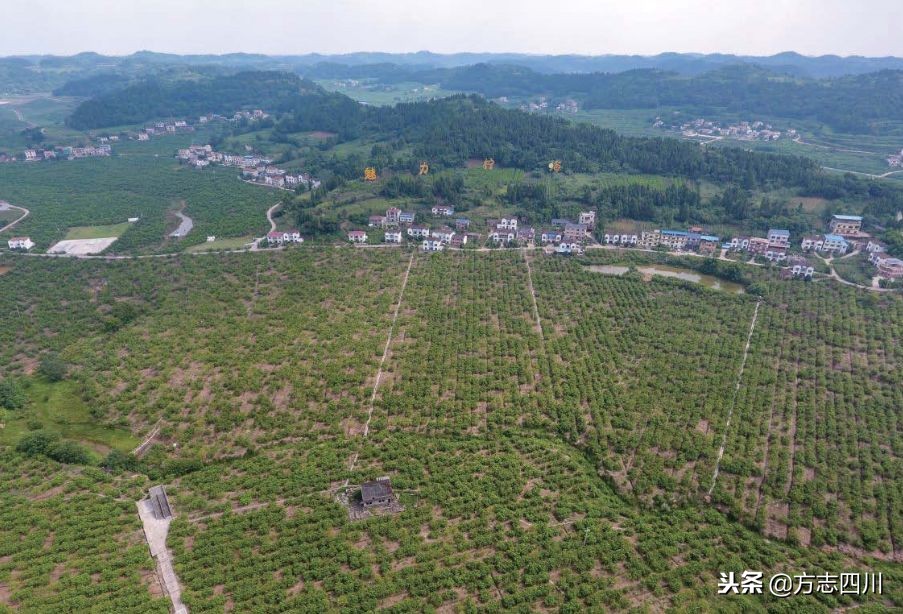 改革开放四十年四川的变化,1978年改革开放四川省的变化