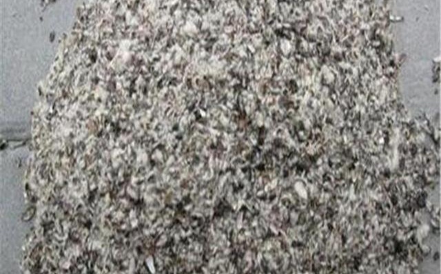 平菇种植过程要不要泼水,平菇怎样种植和管理