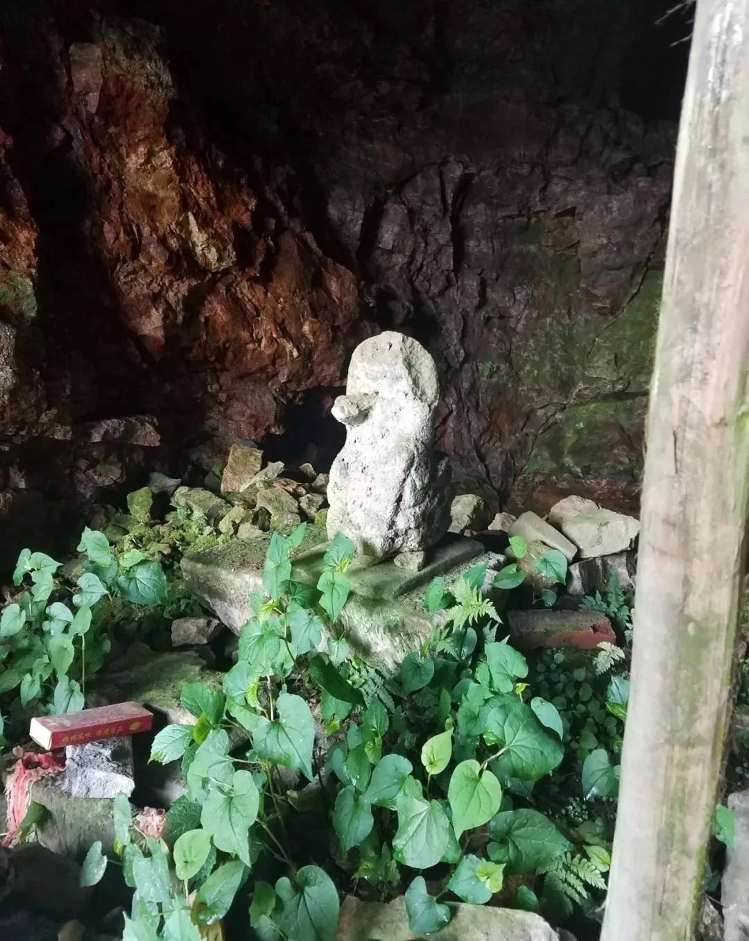 仙人洞风景区,仙人洞龙虎泉