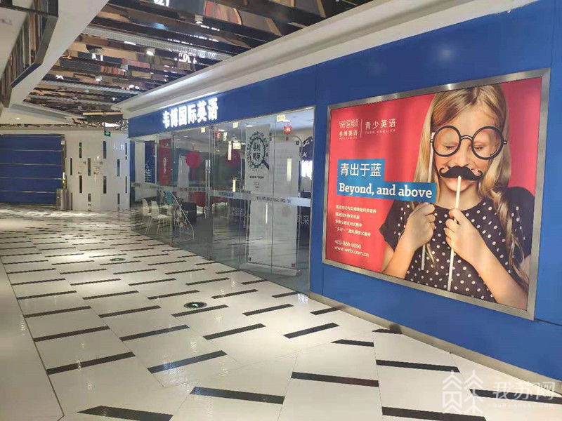 韦博英语破产,韦博英语