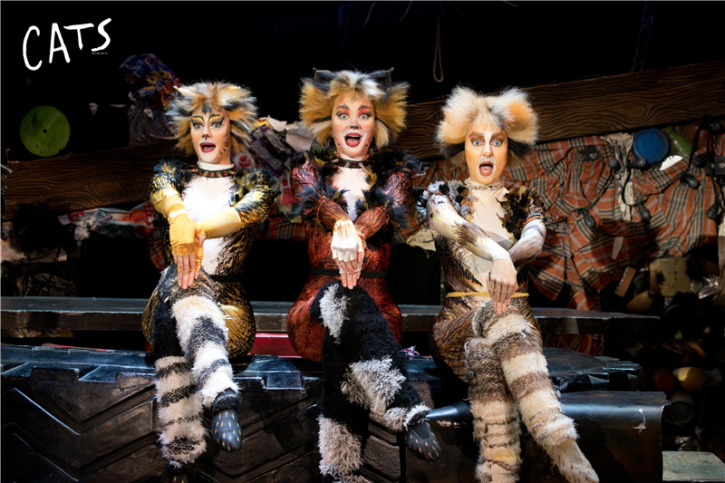 天津大剧院音乐剧演出,天津音乐剧2020