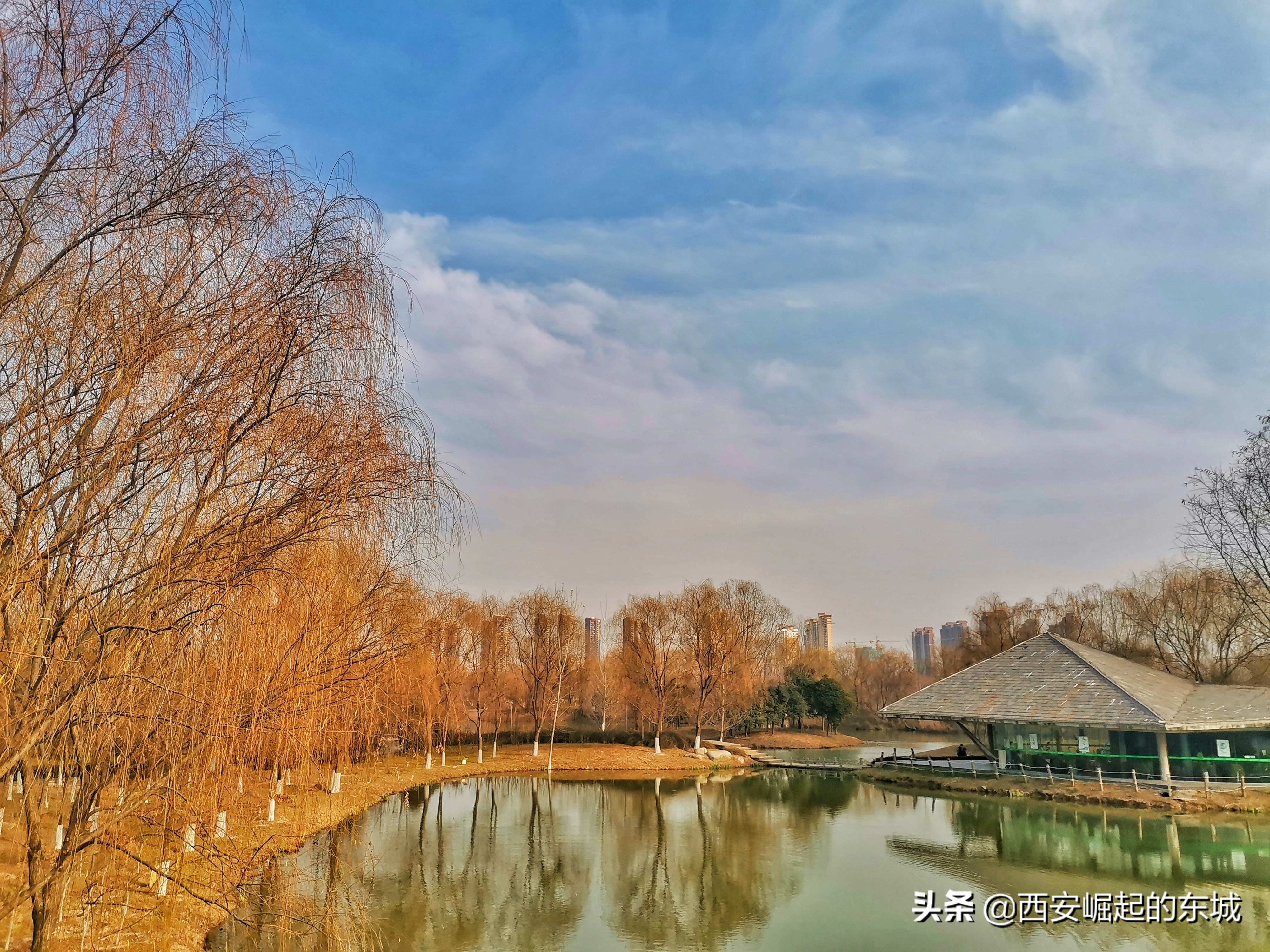 西安浐灞国家湿地公园最美航拍,西安市浐灞国家湿地公园