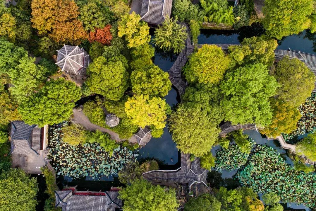 【荐读】100个一看就会一读就错的字，不信你念念