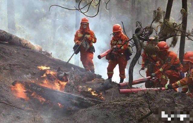 央视记者董倩被反驳视频,中央新闻记者董倩的现状