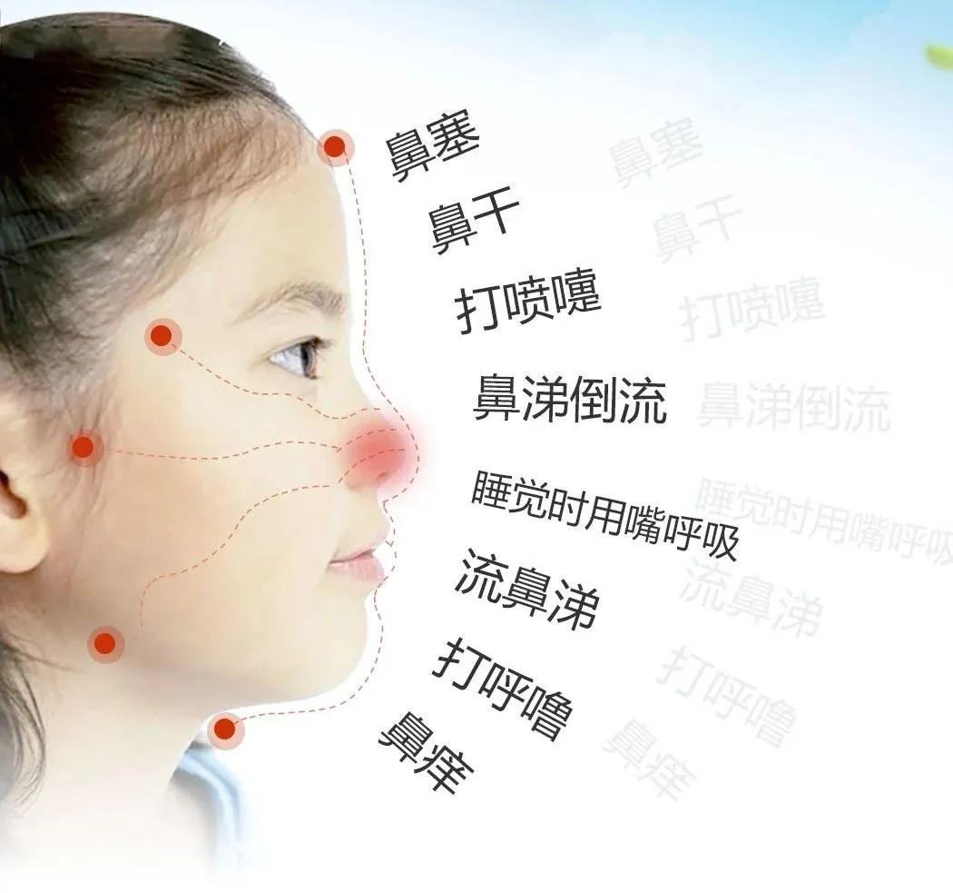 科普鼻子,鼻子科普儿童