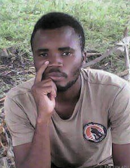 已死亡的著名大猩猩,年龄最大的大猩猩去世