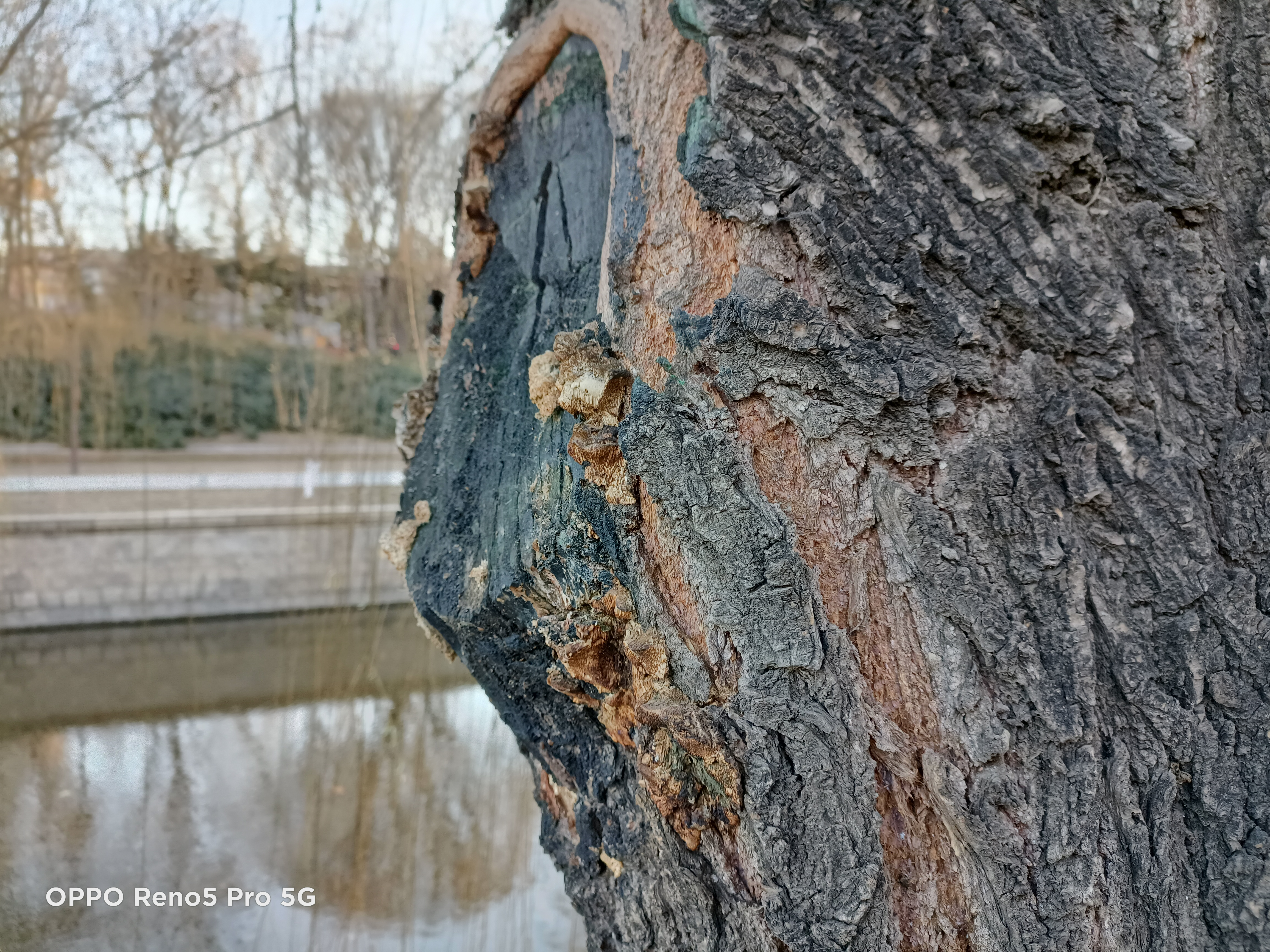 一加8t与opporeno5pro怎么选,opporeno8pro拍照对比xr