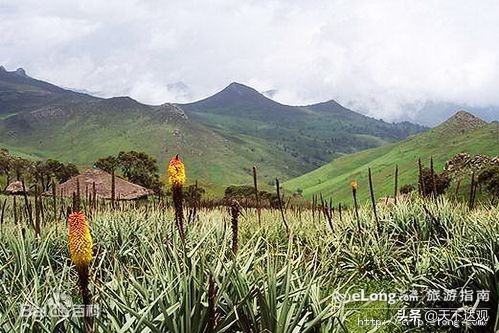 非洲史|亚的斯亚贝巴：埃塞俄比亚的首都，350万人，非洲最高城市