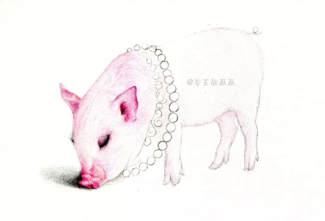 画一只简单又好看的猪,猪年的猪怎么画