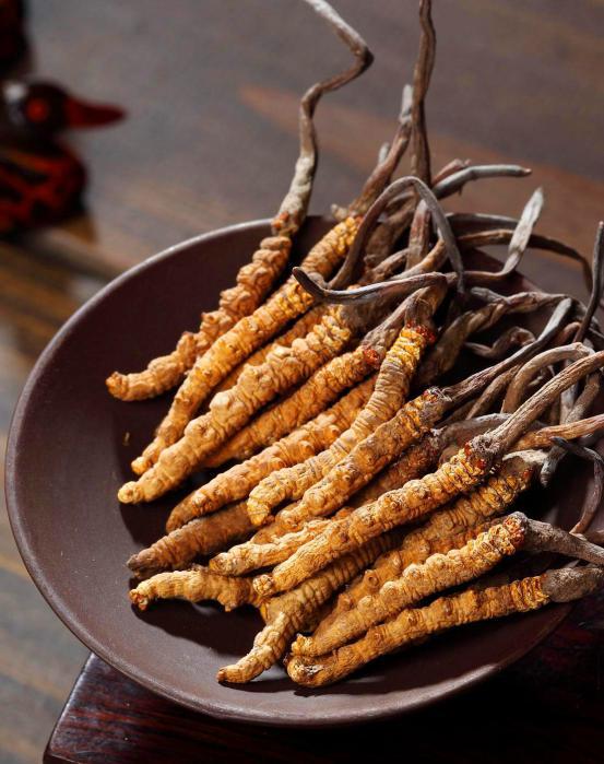 对于野生动物你有哪些了解,冬虫夏草对于女人的好处和坏处