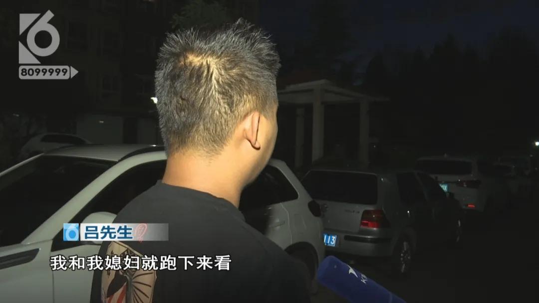 “铁疙瘩射入体内十几厘米”独自下楼的宠物狗究竟遭遇了什么？