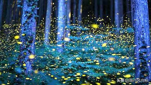 为什么都说要挣钱去三亚,沙巴潜水哪里好