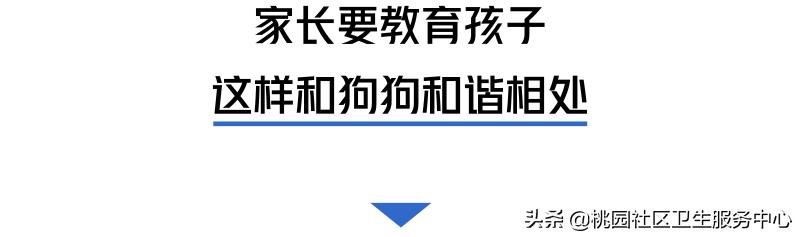 如被猫狗咬伤或抓伤应如何处理,被猫狗咬伤在多少小时之内打疫苗