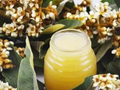 城厢区常太镇首届“壶兰耕读·云上枇杷文化节”暨第22届枇杷节来啦！快来“嗨枇”吧~