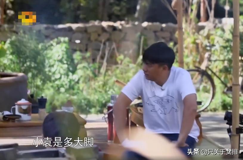 女排球员穿几码鞋,女排袁心玥穿几号球衣