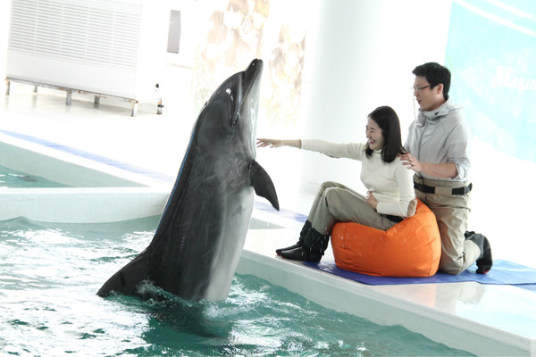 海豚亲吻孕妇,海豚亲孕妇的肚子好不好