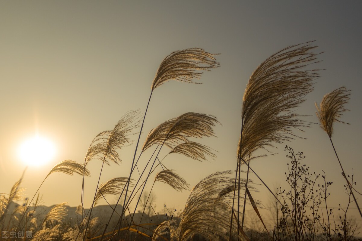 经方治疗口咽干燥,一味中药治秋燥