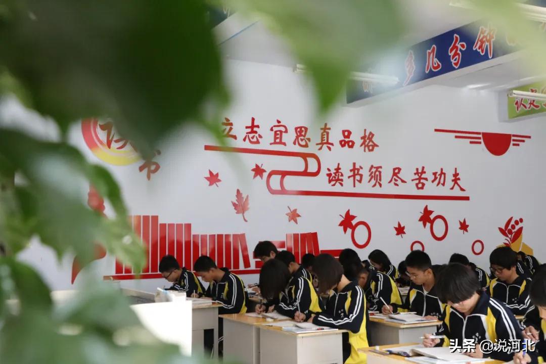 衡水二中清河志臻中学邢台一中,衡水志臻清河校区与衡水二中