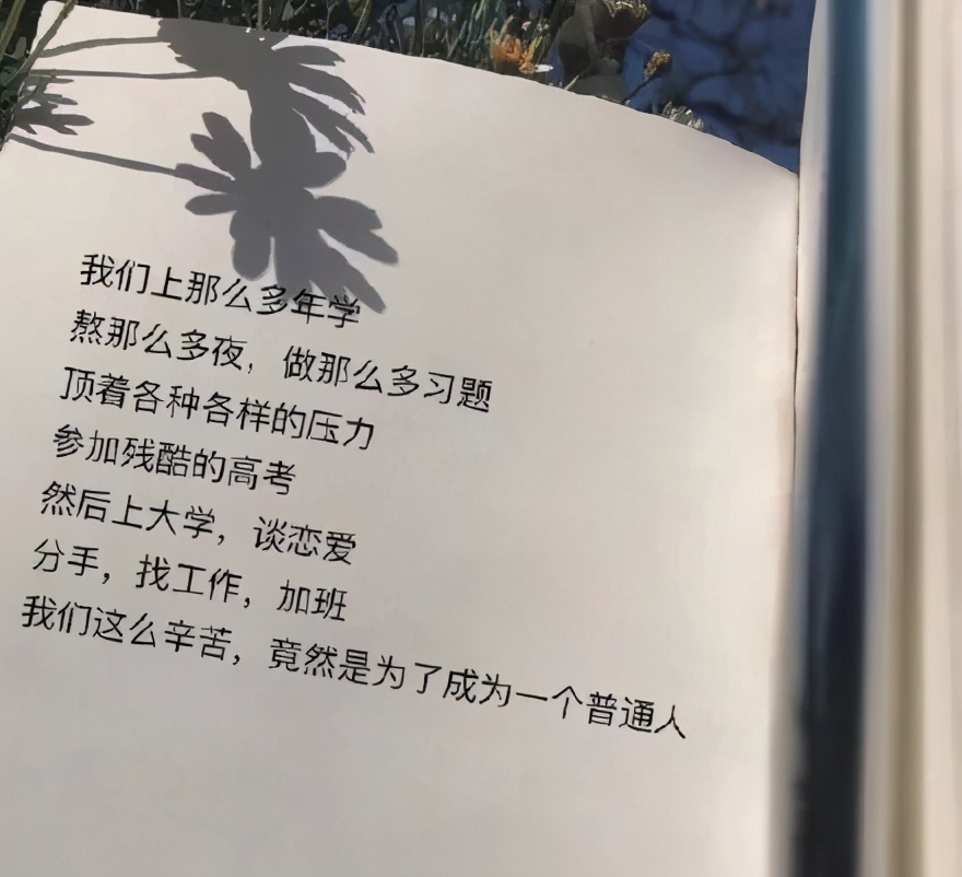 今日图文分享,今日分享图片配文字