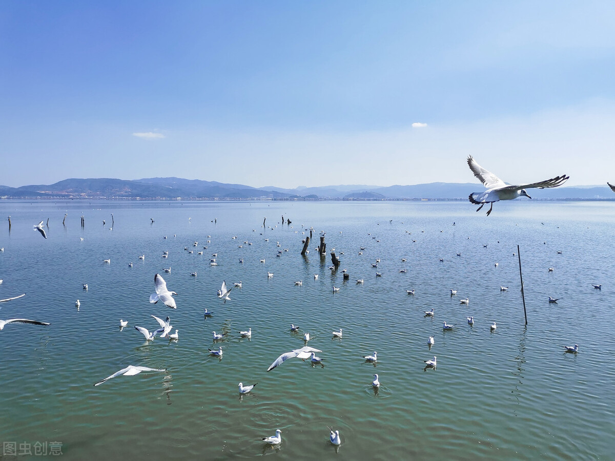 云南的景点真的那么好看吗,云南超美的地方
