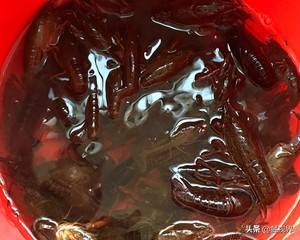 小龙虾最简单的做法去头的小龙虾,六种小龙虾哪种做法最好吃