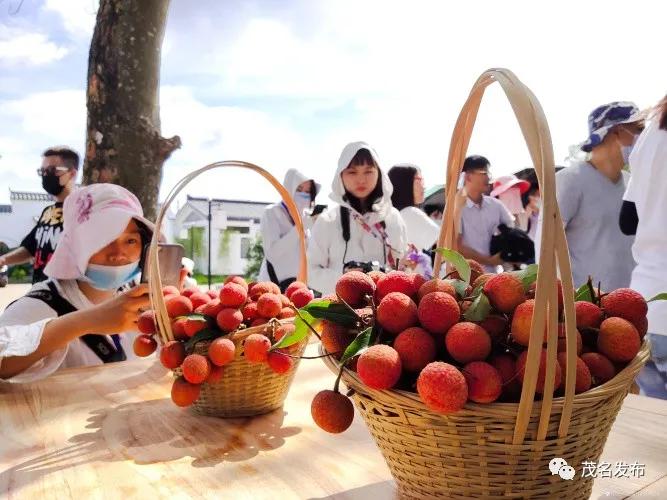 乡村振兴看辉煌,乡村振兴看东富