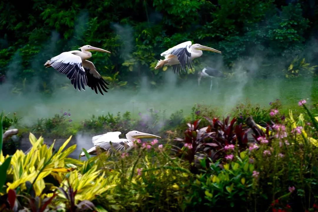 不远的旅游景点推荐,不远不贵不累8个国内亲子游