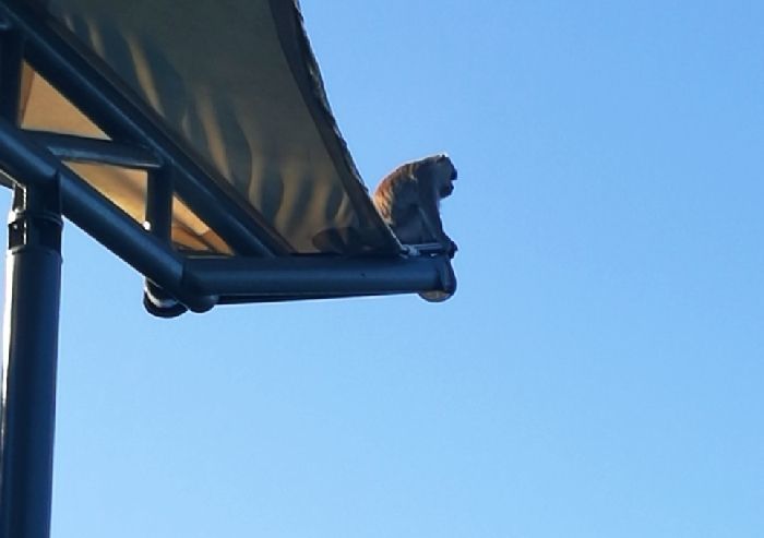 大海里的翡翠一兰卡威岛游记