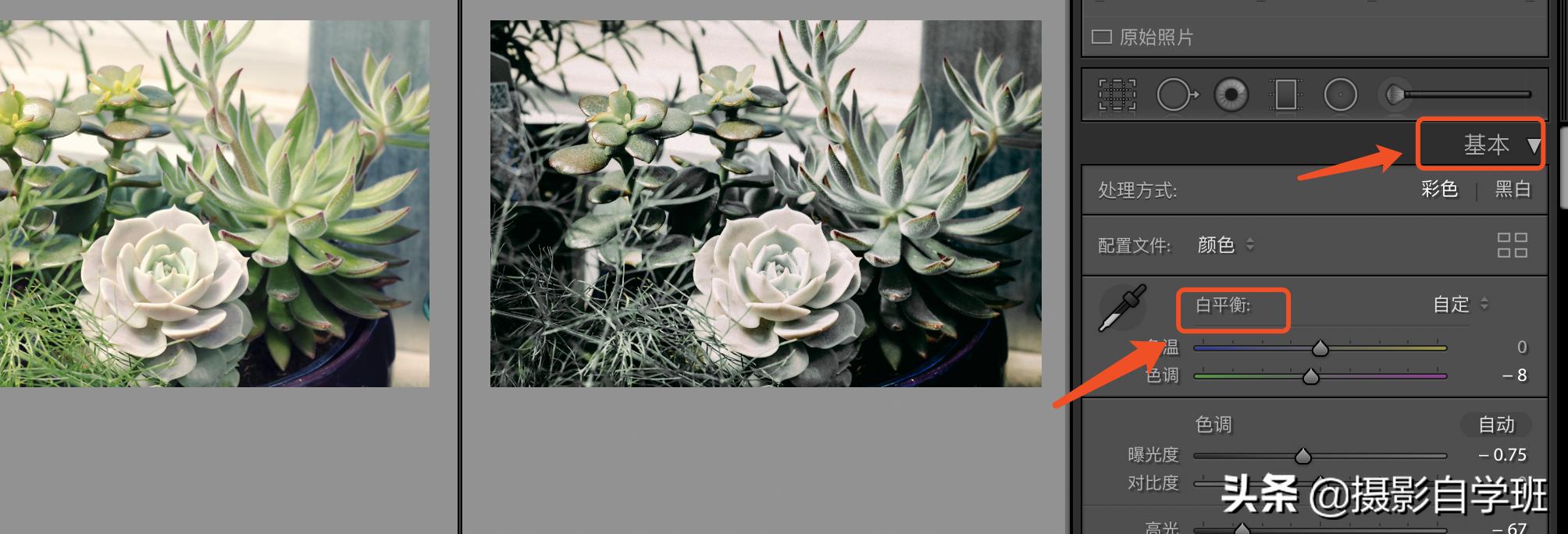 风景照片调色教程lr调色思路,lr修图红色怎么调成青色