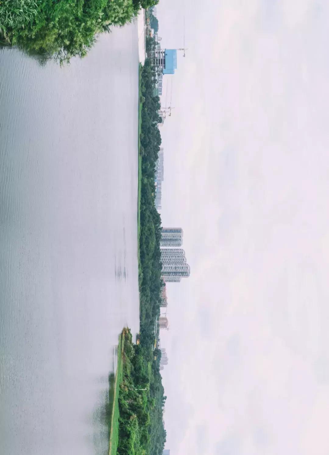 深圳市美美美,深圳最美免费水库