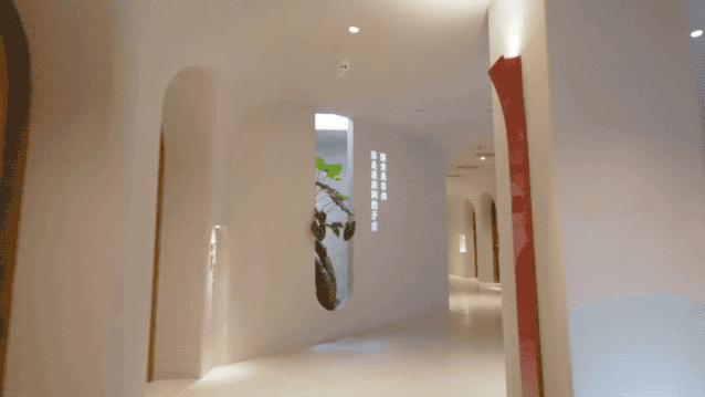 人均300海岛旅游,海岛旅游一价全包