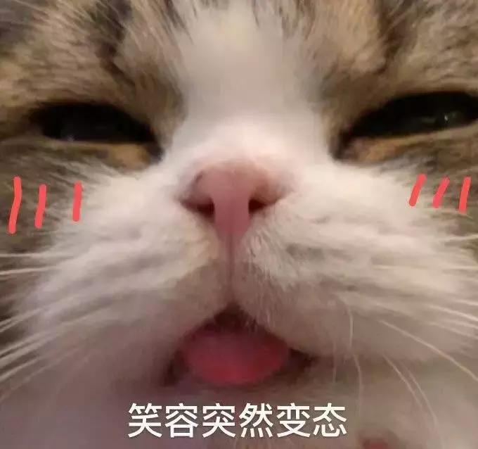 “表”面文章怎样做，郑州百货大楼名表节抢鲜上市