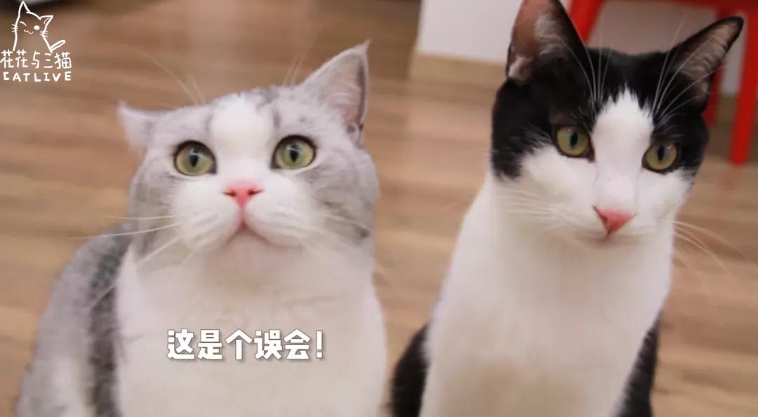 b站up主实锤事件,b站up主开挂被实锤