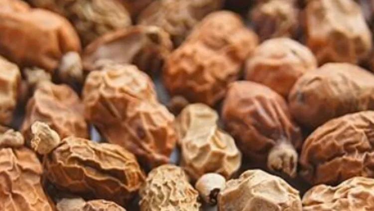 48款香料的解析与认知,四十八香谱图解大全