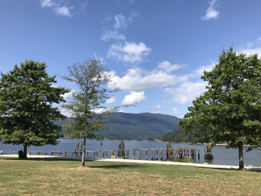 coach奥莱包值得买吗,coach奥莱款和专柜款哪个值得购买