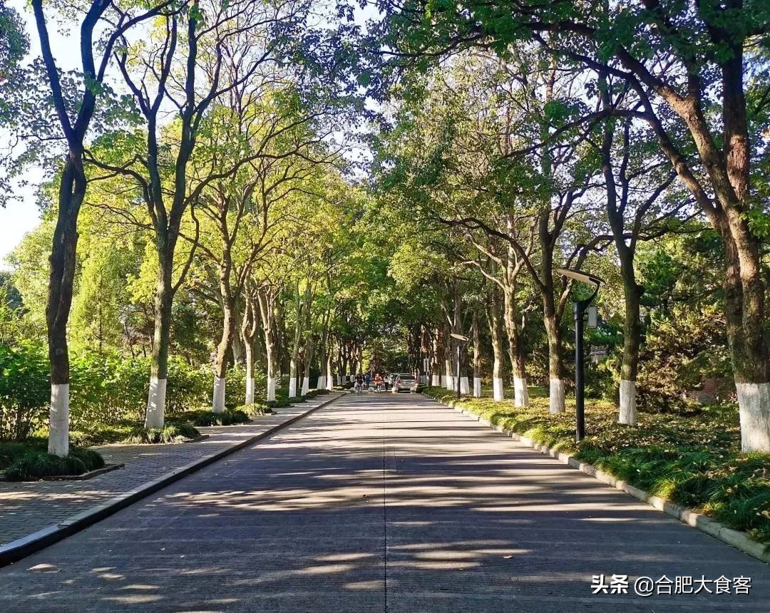 安大北门小吃街在哪里,安大旁边有什么好吃的