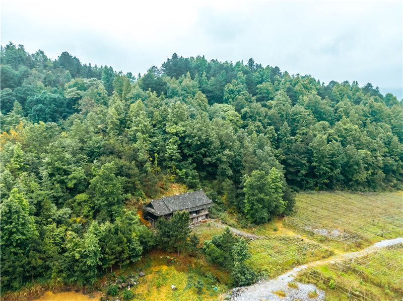 贵州除了千户苗寨还有其他玩的吗,贵州千户苗寨外的古镇