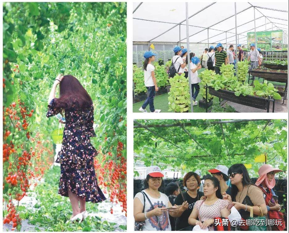 69.9抢惠州罗浮山漂流门票89元抢漂流门票+空中田园