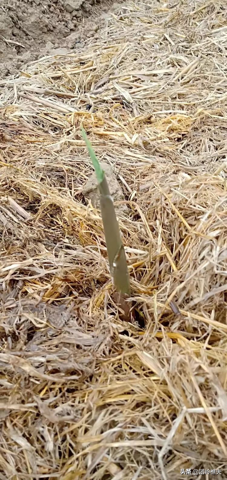 创业项目小项目,创业实用小项目